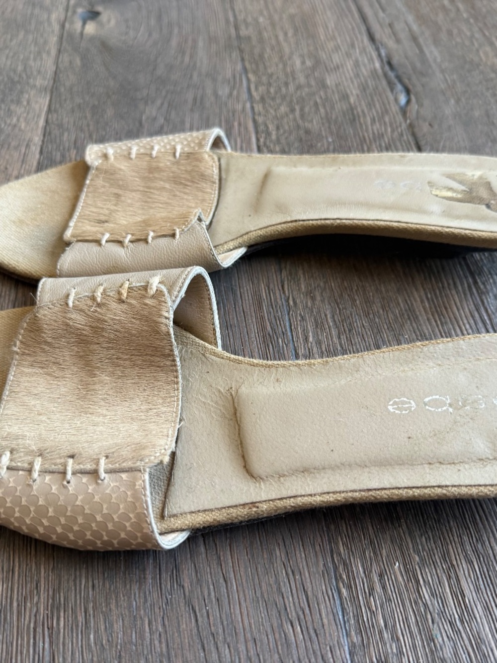 Bebe slides